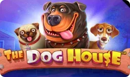 Volt Rush – The Dog House